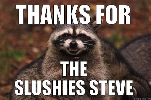 THANKS FOR THE SLUSHIES STEVE Evil Plotting Raccoon