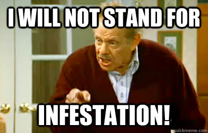 i will not stand for infestation!  Frank Costanza