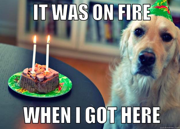 It was on fire when I got here -          IT WAS ON FIRE                WHEN I GOT HERE     Sad Birthday Dog
