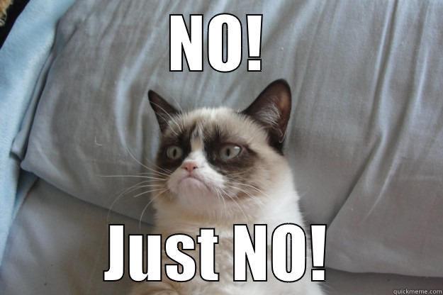 NO! JUST NO! Grumpy Cat