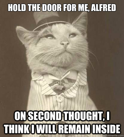 Hold the door for me, Alfred On second thought, I think I will remain inside - Hold the door for me, Alfred On second thought, I think I will remain inside  Aristocat