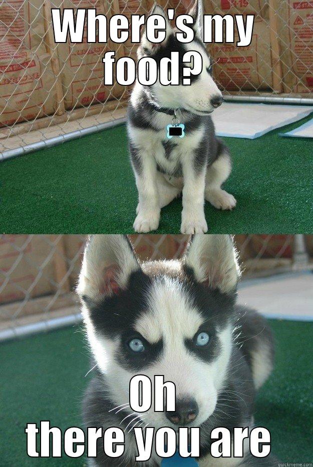 WHERE'S MY FOOD? OH THERE YOU ARE  Insanity puppy