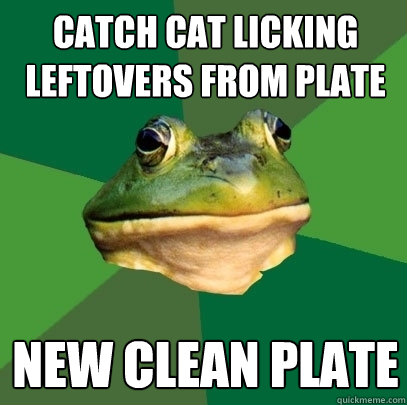 catch cat licking leftovers from plate new clean plate  Foul Bachelor Frog