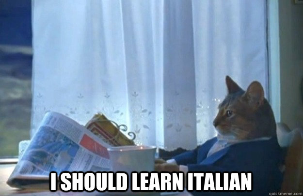  I should learn Italian  Sophisticated Cat