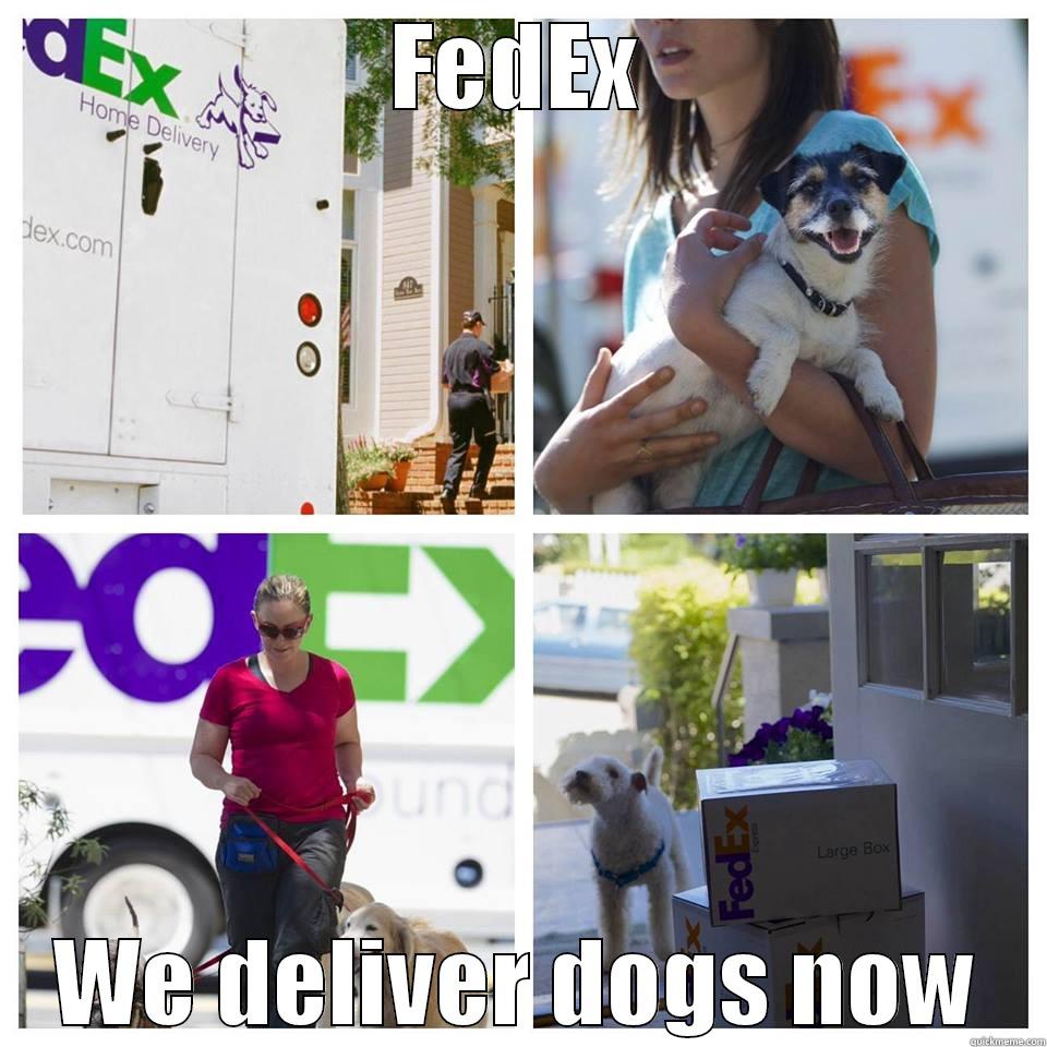 FedEx Meme - FEDEX WE DELIVER DOGS NOW Misc