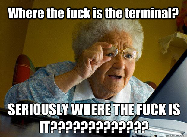 Where the fuck is the terminal? SERIOUSLY WHERE THE FUCK IS IT?????????????    Grandma finds the Internet