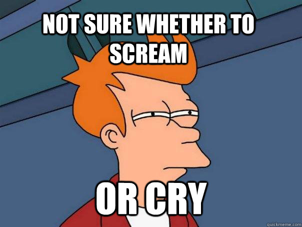 Not sure whether to scream  or cry - Not sure whether to scream  or cry  Futurama Fry