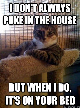 I don't always puke in the house but when I do, it's on your bed  The Most Interesting Cat in the World