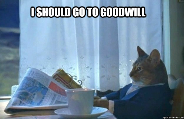 I SHOULD GO TO GOODWILL  Sophisticated Cat is broke