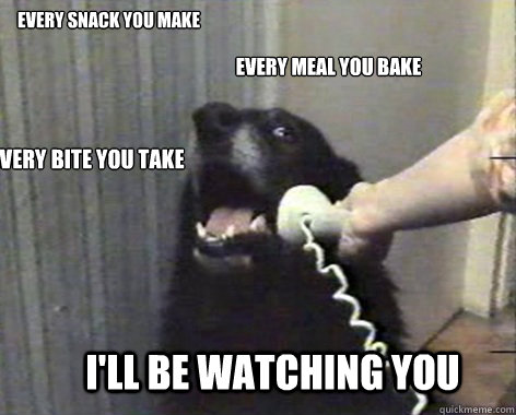 Every snack you make Every meal you bake every bite you take i'll be watching you - Every snack you make Every meal you bake every bite you take i'll be watching you  This is dog