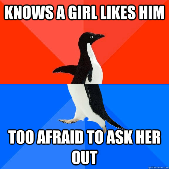 Knows a girl likes him too afraid to ask her out  Socially Awesome Awkward Penguin