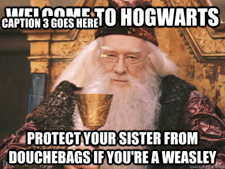 Welcome to Hogwarts Protect your sister from douchebags if you're a weasley Caption 3 goes here - Welcome to Hogwarts Protect your sister from douchebags if you're a weasley Caption 3 goes here  Drew Dumbledore