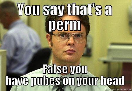 YOU SAY THAT'S A PERM FALSE YOU HAVE PUBES ON YOUR HEAD Schrute