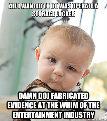 All I wanted to do was operate a storage locker Damn DOJ fabricated evidence at the whim of the entertainment industry - All I wanted to do was operate a storage locker Damn DOJ fabricated evidence at the whim of the entertainment industry  skeptical baby