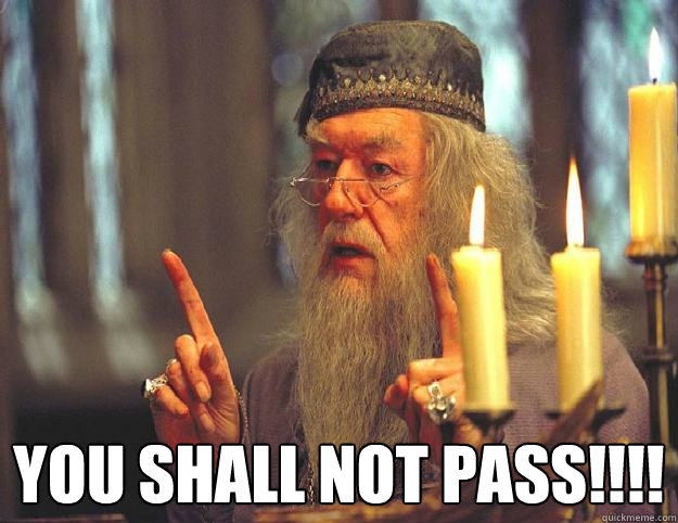 you shall not pass!!!!  Dumbledore