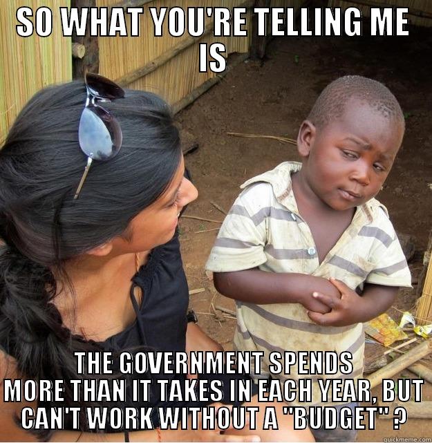 SO WHAT YOU'RE TELLING ME IS THE GOVERNMENT SPENDS MORE THAN IT TAKES IN EACH YEAR, BUT CAN'T WORK WITHOUT A 