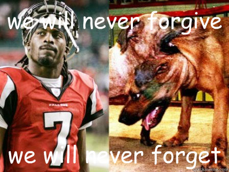 we will never forgive we will never forget  fuck you michael vick