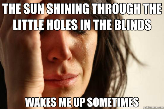 The sun shining through the little holes in the blinds wakes me up sometimes  First World Problems