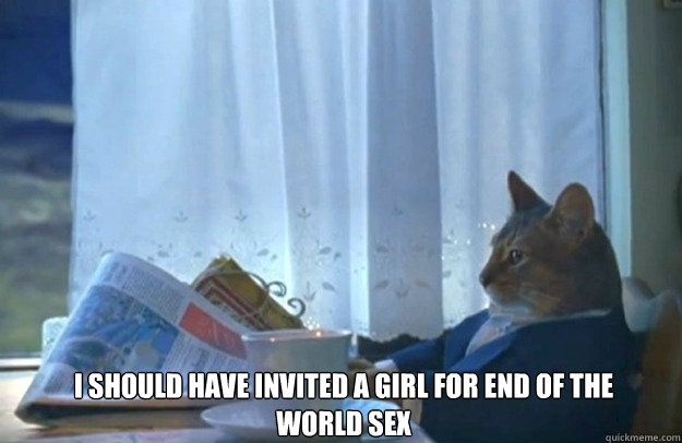 I should have invited a girl for end of the world sex  Sophisticated Cat