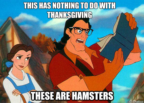 THIS HAS NOTHING TO DO WITH THANKSGIVING THESE ARE HAMSTERS  Hipster Gaston