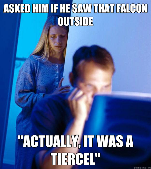 asked him if he saw that falcon 
outside 