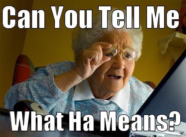 CAN YOU TELL ME     WHAT HA MEANS? Grandma finds the Internet