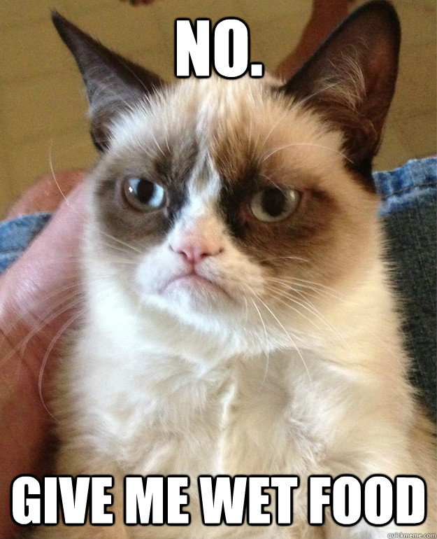 No. give me wet food - No. give me wet food  Misc