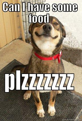 CAN I HAVE SOME FOOD  PLZZZZZZZ Good Dog Greg