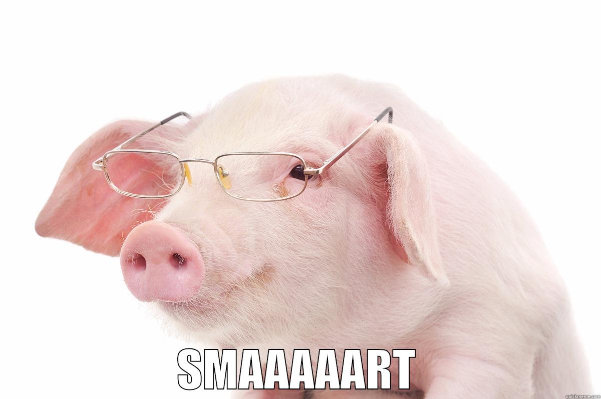  SMAAAAART Misc