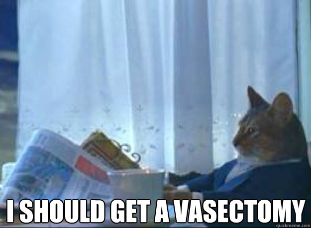 i should get a Vasectomy   I should buy a boat cat