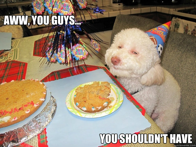 aww-you-guys-you-shouldn-t-have-content-birthday-dog-quickmeme