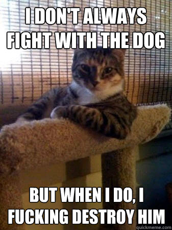 I don't always fight with the dog but when I do, i fucking destroy him  The Most Interesting Cat in the World