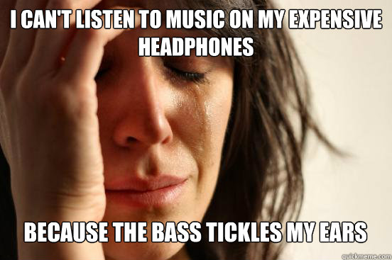 I CAN'T LISTEN TO MUSIC ON MY EXPENSIVE HEADPHONES
 BECAUSE THE BASS TICKLES MY EARS Caption 3 goes here  First World Problems