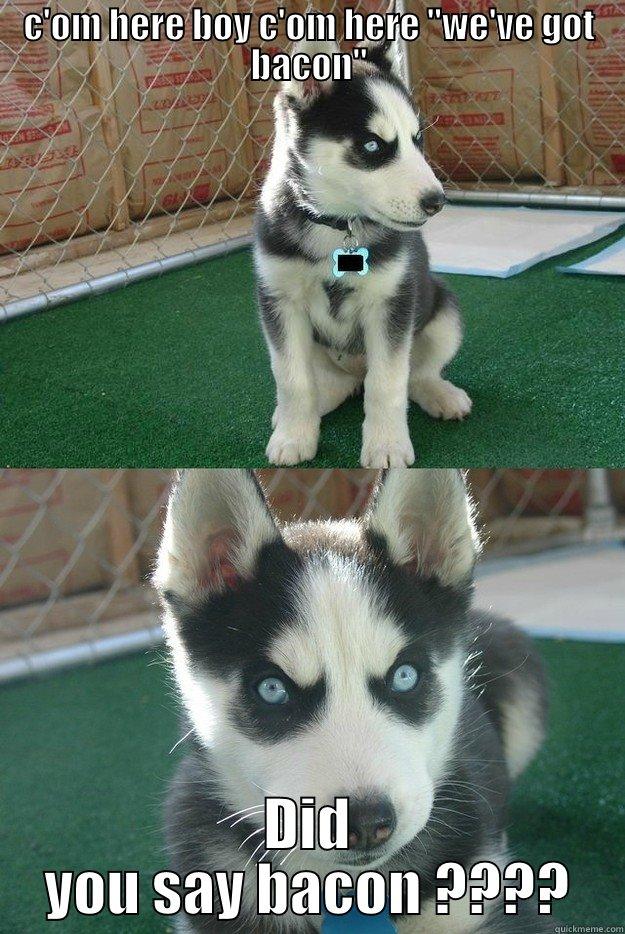 C'OM HERE BOY C'OM HERE 