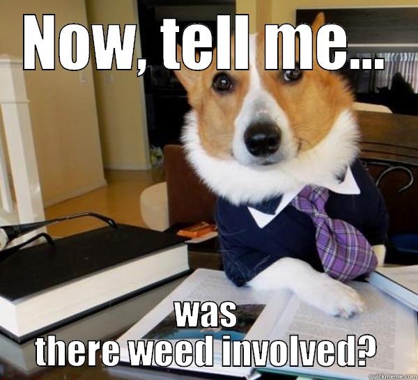 NOW, TELL ME... WAS THERE WEED INVOLVED? Lawyer Dog
