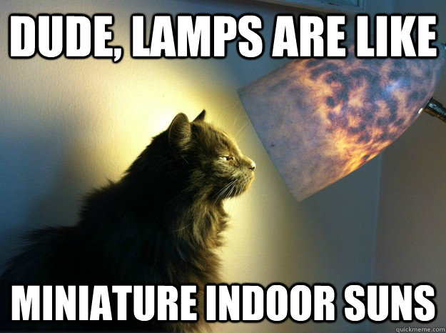 Dude, lamps are like miniature indoor suns - Dude, lamps are like miniature indoor suns  Misc