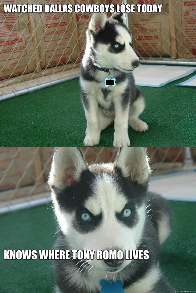 Watched Dallas Cowboys lose today Knows where Tony Romo lives  Insanity puppy