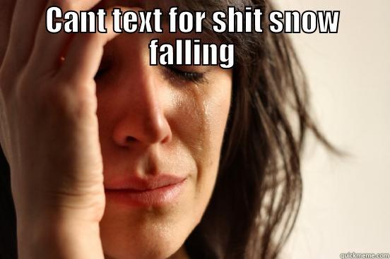 CANT TEXT FOR SHIT SNOW FALLING  First World Problems