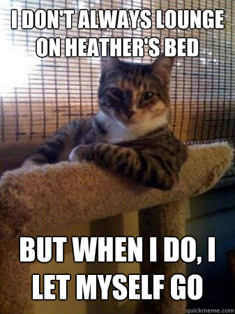 I don't always lounge on heather's bed but when I do, I let myself go  The Most Interesting Cat in the World