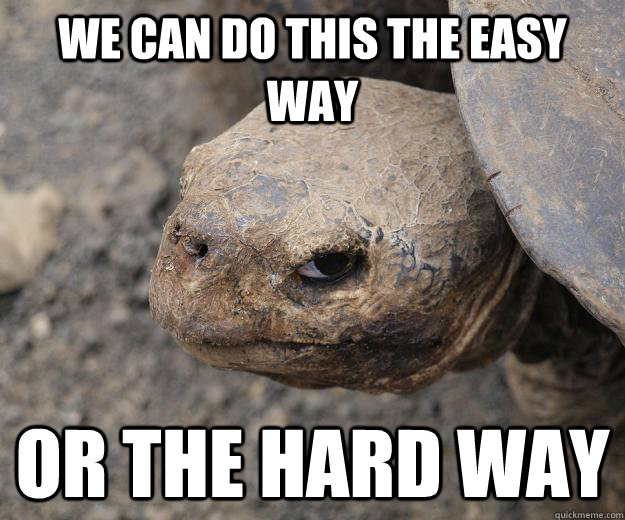 we can do this the easy way or the hard way  Murder Turtle