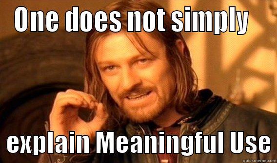 ONE DOES NOT SIMPLY     EXPLAIN MEANINGFUL USE One Does Not Simply