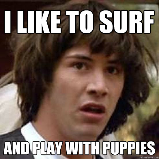 I LIKE TO SURF AND PLAY WITH PUPPIES  conspiracy keanu
