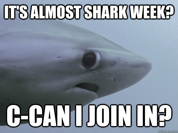 It's Almost Shark Week? C-can i join in? - It's Almost Shark Week? C-can i join in?  Shy Shark