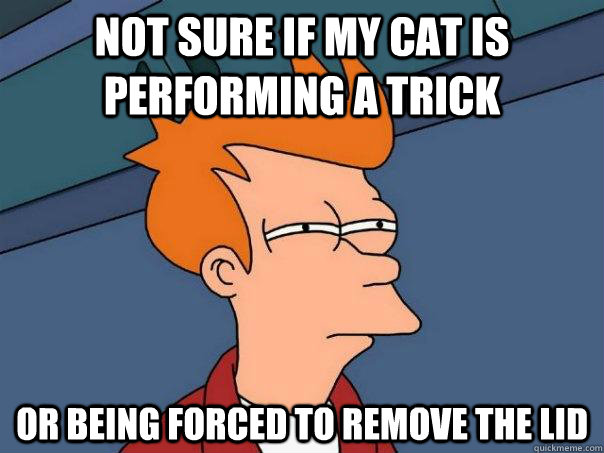 Not sure if my cat is performing a trick Or being forced to remove the lid - Not sure if my cat is performing a trick Or being forced to remove the lid  Futurama Fry