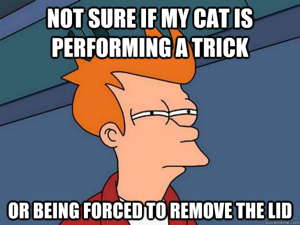 Not sure if my cat is performing a trick Or being forced to remove the lid  Futurama Fry