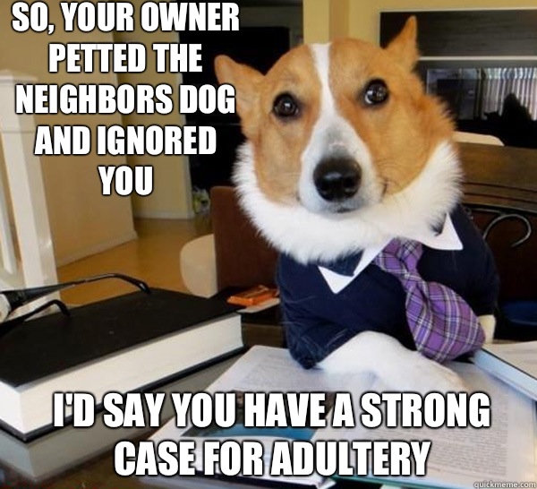 So, your owner petted the neighbors dog and ignored you I'd say you have a strong case for adultery  Lawyer Dog