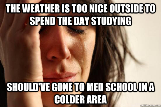 the weather is too nice outside to spend the day studying should've gone to med school in a colder area  First World Problems