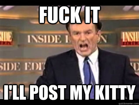 FUCK IT I'll post my kitty  Angry Bill