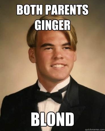 both parents ginger blond - both parents ginger blond  Good Luck Gary