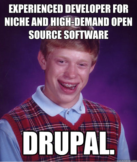 Experienced developer for niche and high-demand open source software Drupal.  Bad Luck Brian